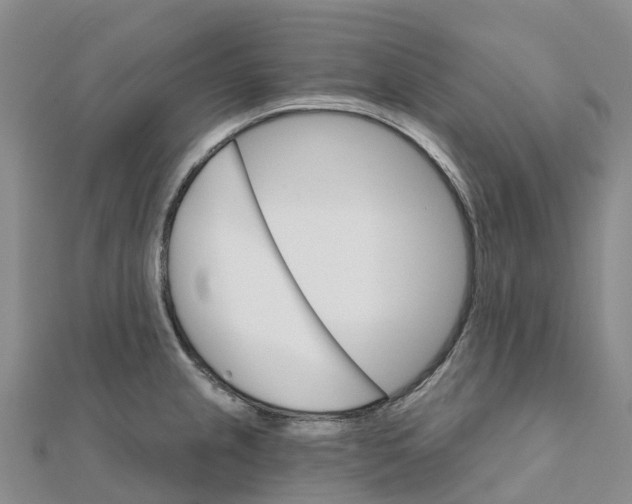 X0000111511237200908111302