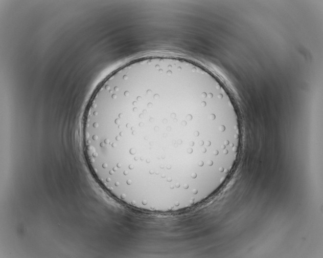 X0000111511238200908111302