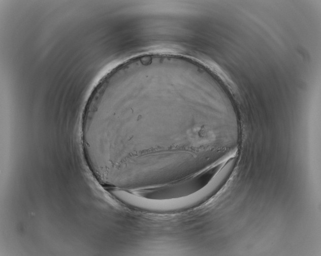 X0000111511240200908111302