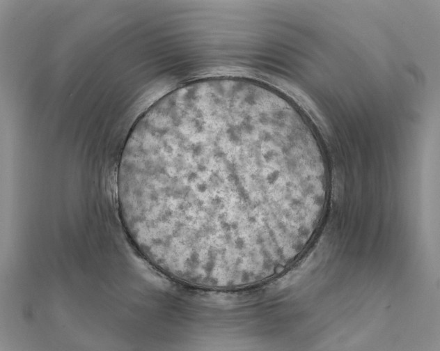 X0000111511241200908111302