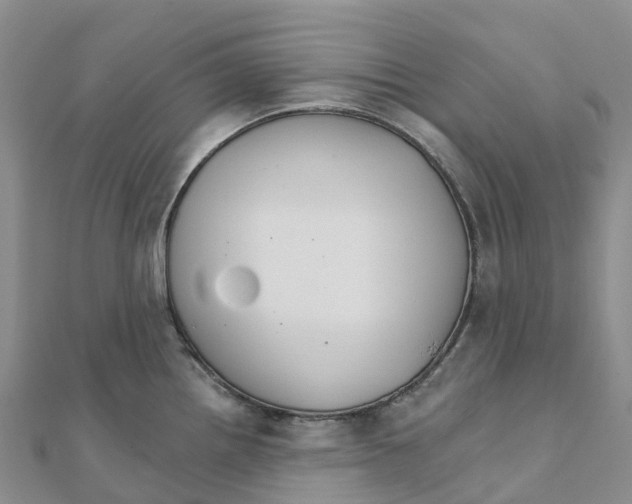 X0000111511242200908111302