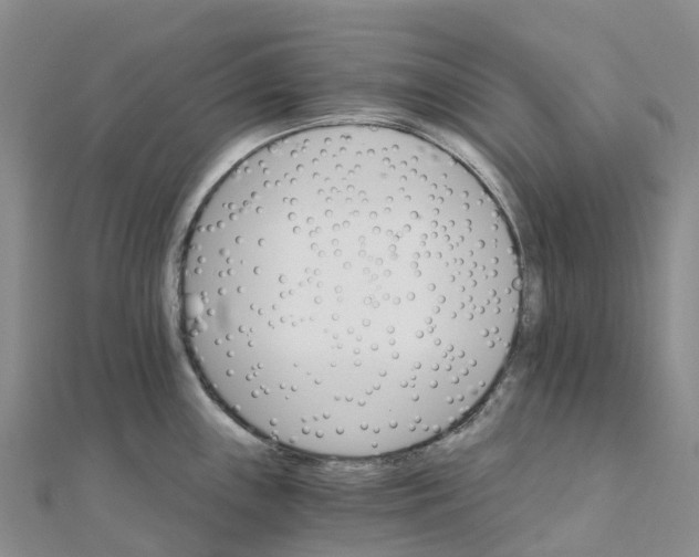 X0000111511243200908111302