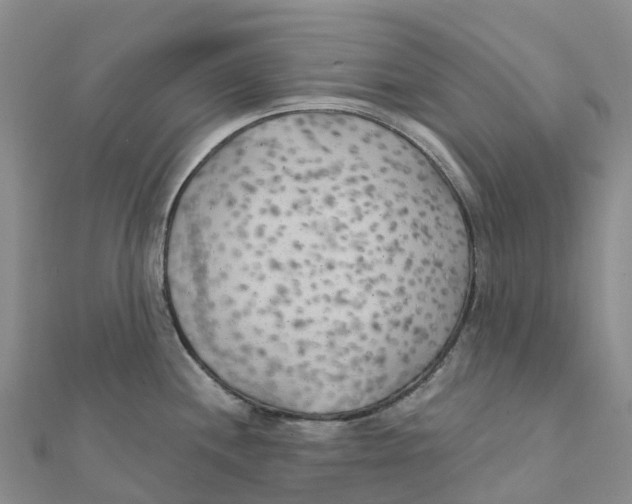 X0000111511244200908111302