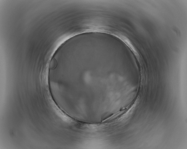 X0000111511246200908111302