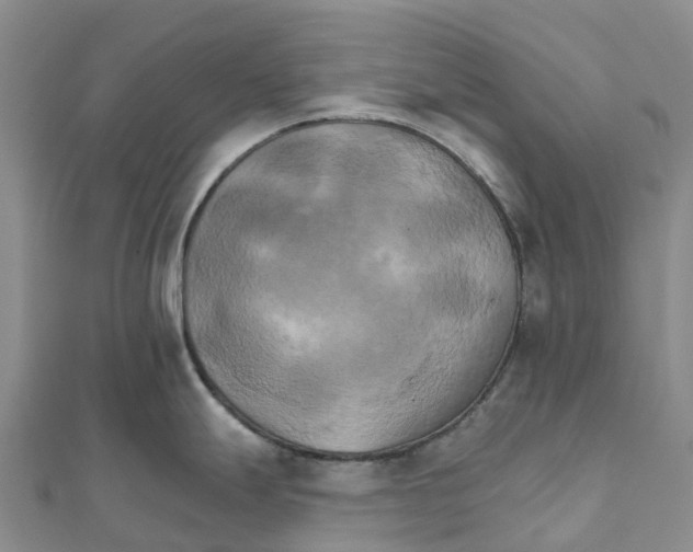 X0000111511247200908111302