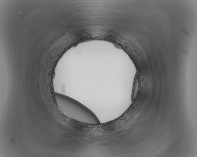 X0000111511249200908111301
