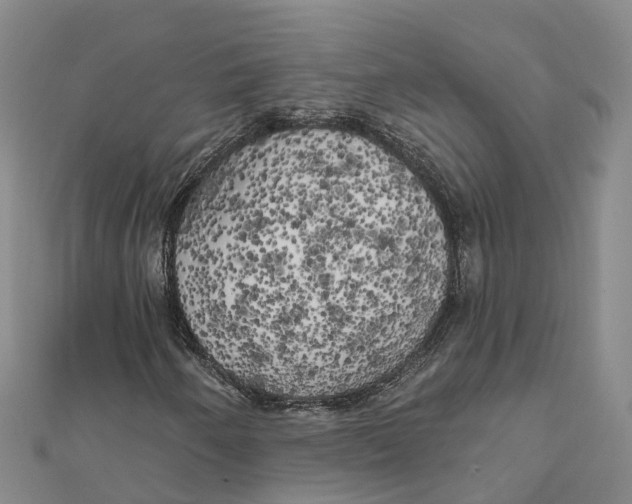 X0000111511250200908111301