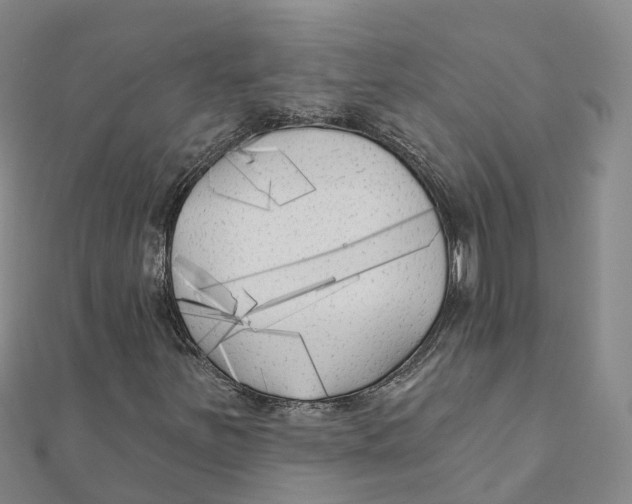 X0000111511251200908111301
