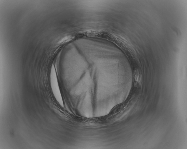 X0000111511252200908111301