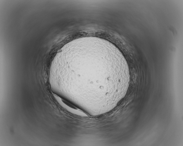 X0000111511253200908111301