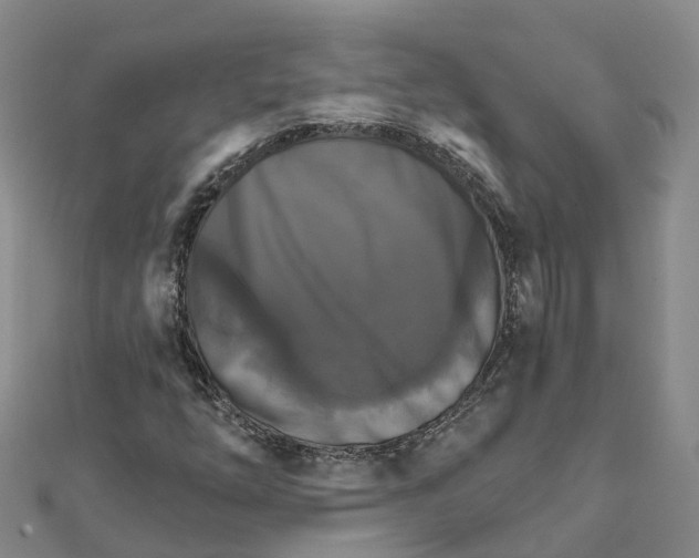X0000111511254200908111301