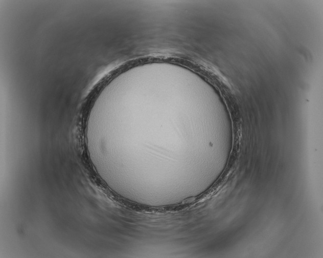 X0000111511256200908111301