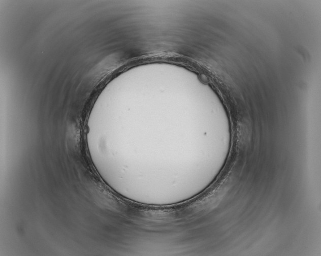 X0000111511257200908111301