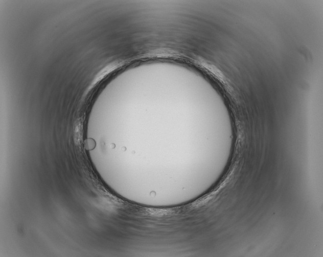 X0000111511258200908111301