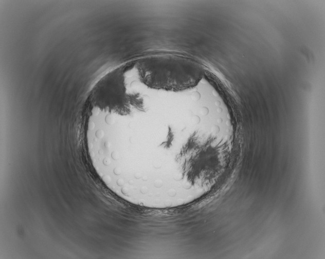 X0000111511259200908111301