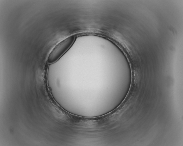 X0000111511260200908111301