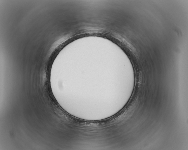 X0000111511261200908111301