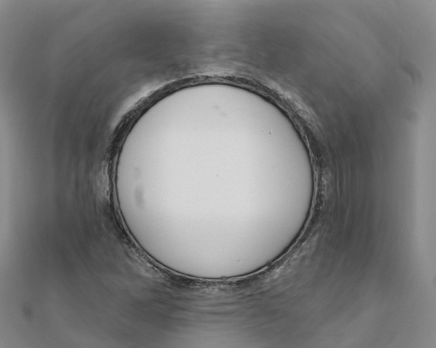 X0000111511262200908111301