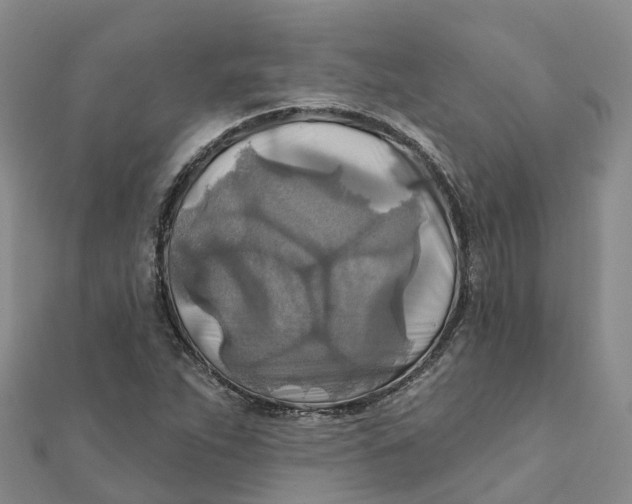 X0000111511263200908111301