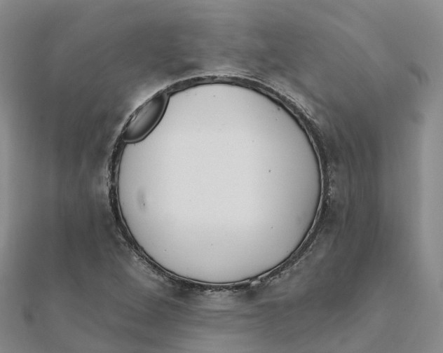 X0000111511264200908111301