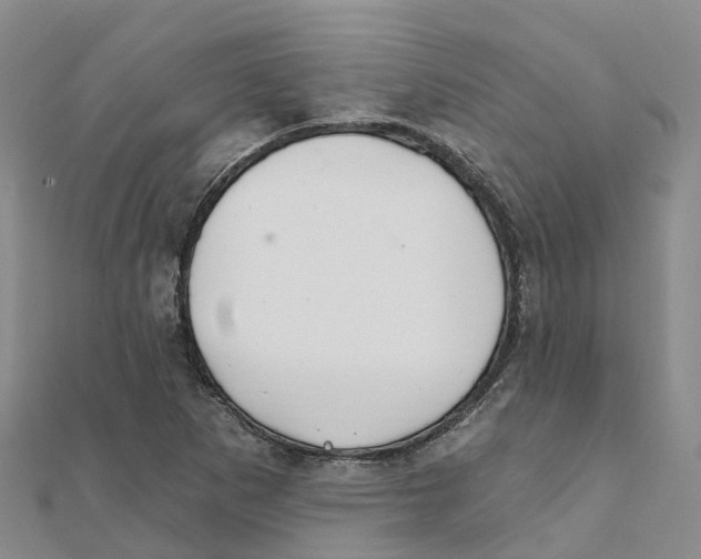 X0000111511265200908111301