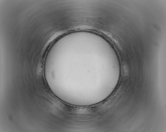 X0000111511266200908111301