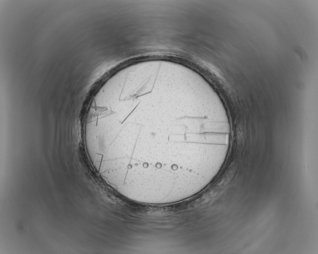 X0000111511267200908111301