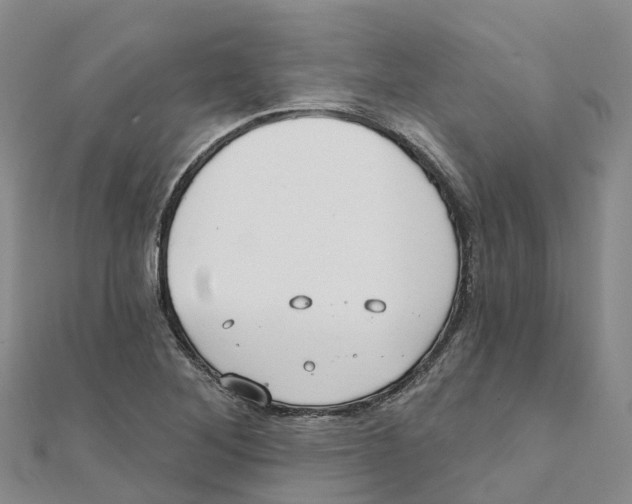 X0000111511268200908111301