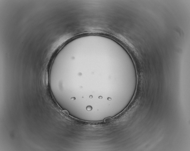 X0000111511269200908111301