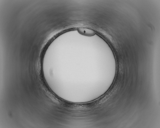 X0000111511270200908111301