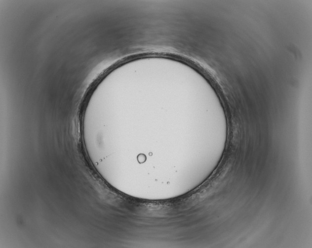 X0000111511271200908111301