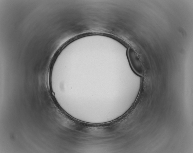 X0000111511272200908111301