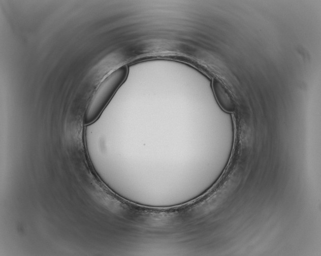 X0000111511273200908111301