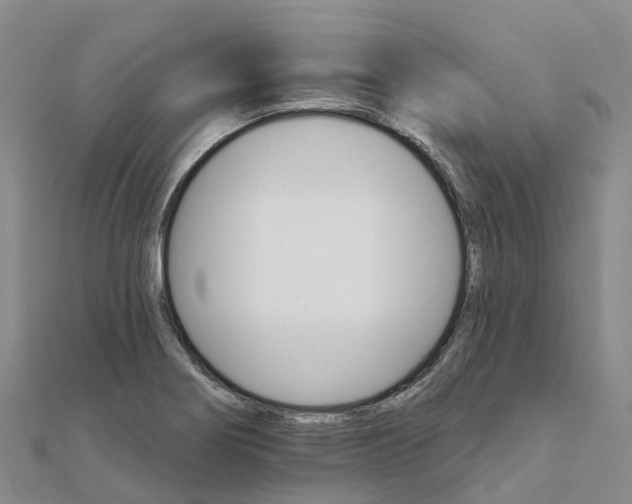 X0000111511274200908111301