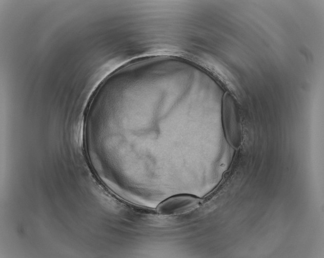 X0000111511276200908111301