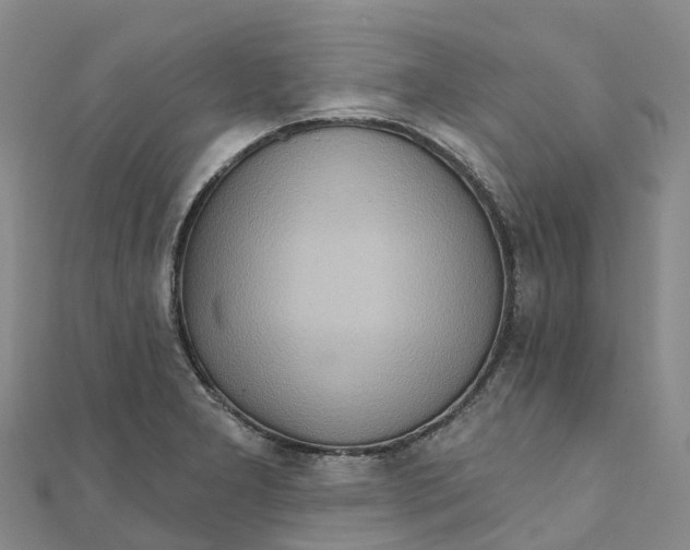 X0000111511277200908111301