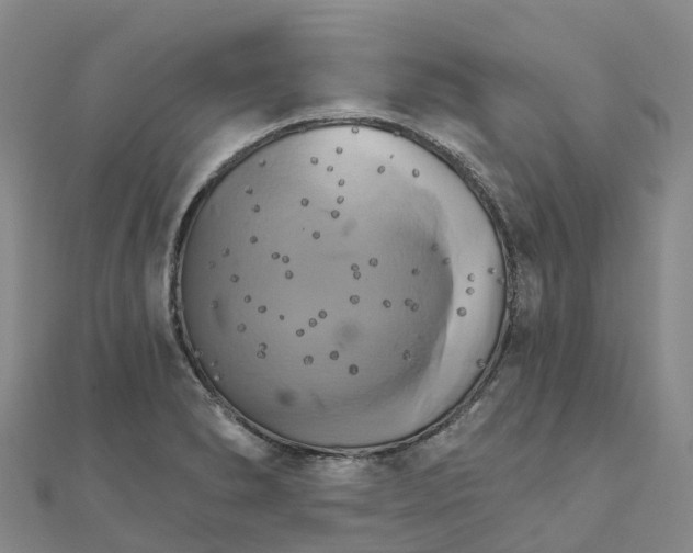 X0000111511278200908111301