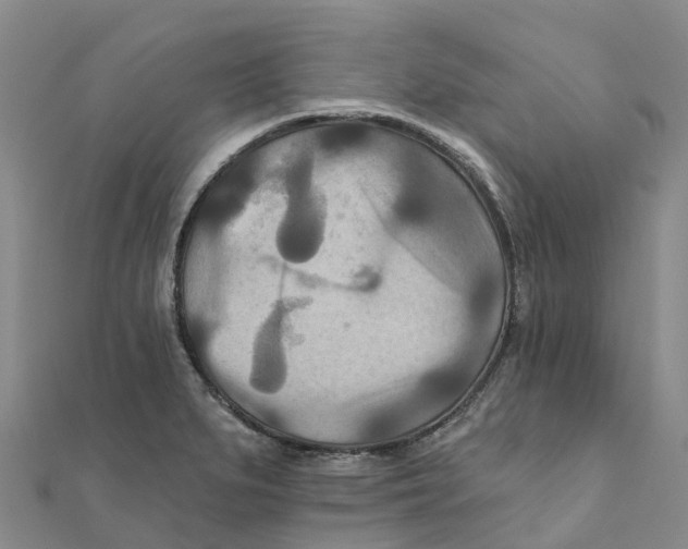 X0000111511279200908111301