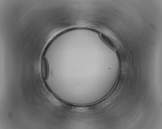 X0000111511280200908111301
