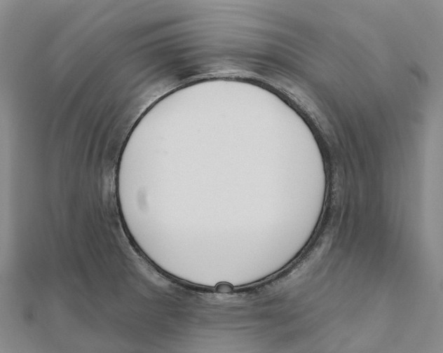 X0000111511281200908111301