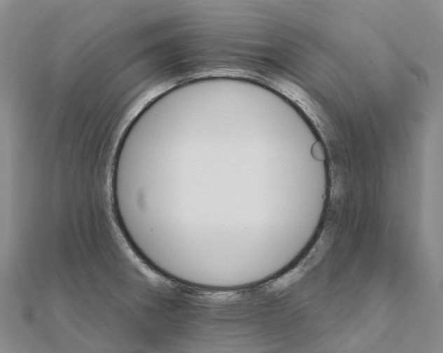 X0000111511282200908111301