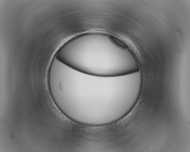 X0000111511284200908111301