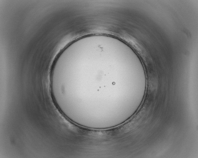 X0000111511286200908111301