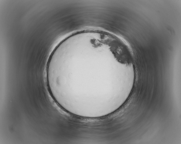 X0000111511287200908111301