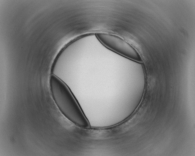 X0000111511288200908111301