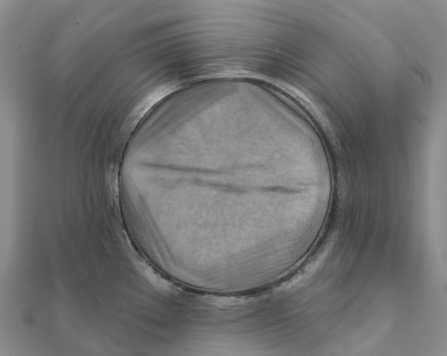 X0000111511289200908111301