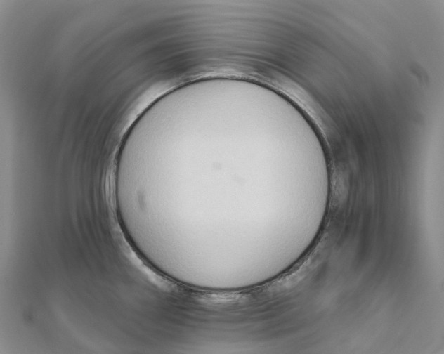 X0000111511290200908111301