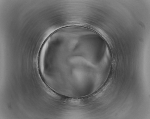 X0000111511291200908111300