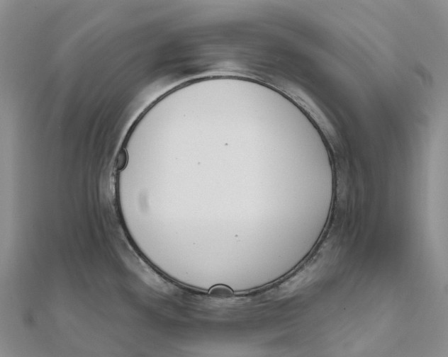 X0000111511292200908111300