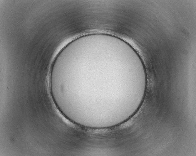 X0000111511294200908111300